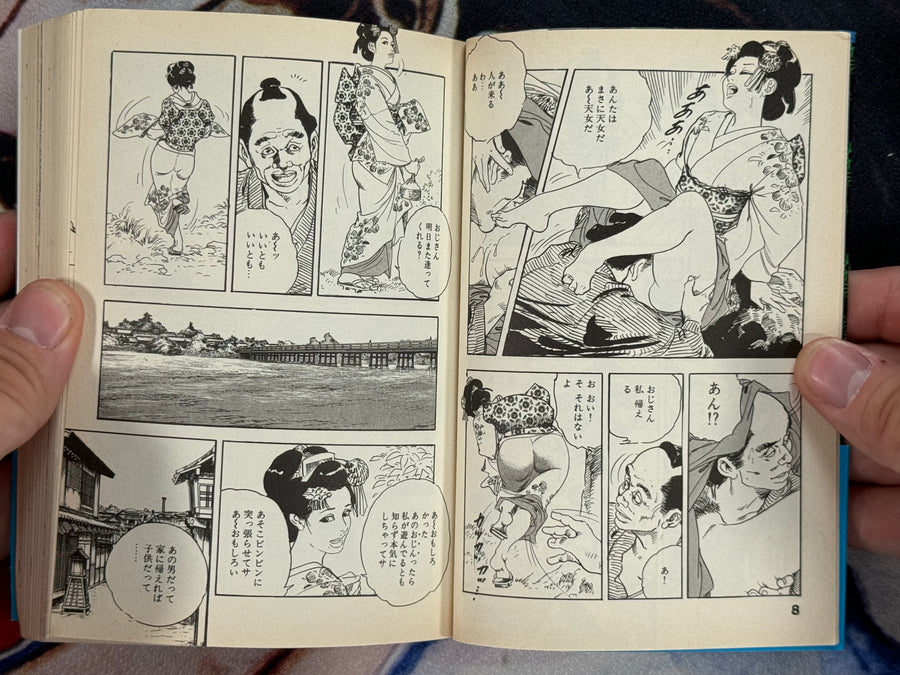 Disheveled Hips (Bunko Edition) by Ken Tsukikage (1998)