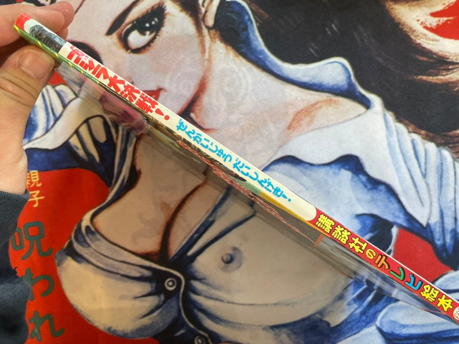 Godzilla Big Decisive Battle! - Hardcover by Kodansha TV Picture Book (1993)