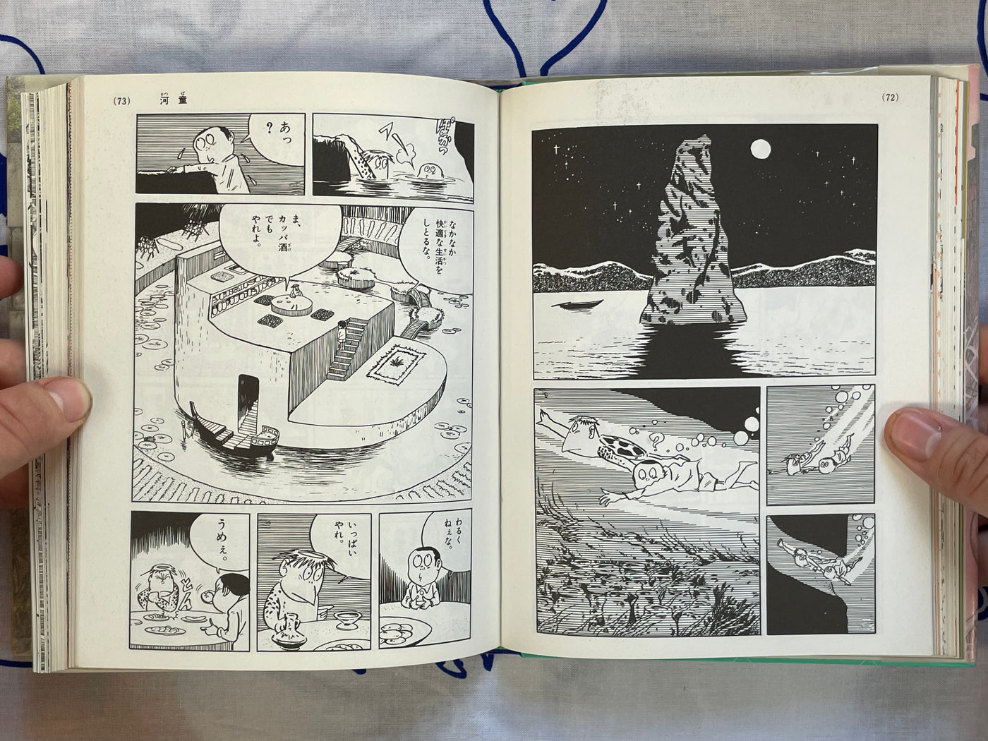 Introductory Yokai Professor - Hardcover by Mizuki Shigeru (1989)