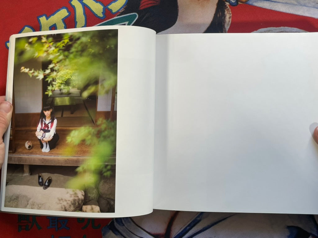 Sunny Day and Twin Tail by Kan Furuya (2012)