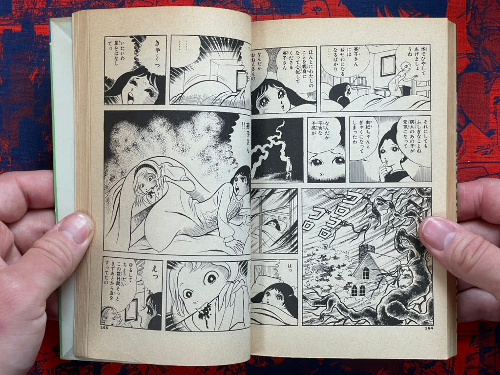 Lightning Girl by Koga Shinichi (1984)