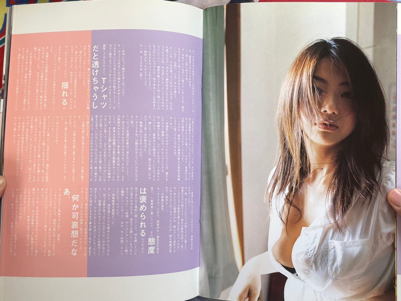 Aizawa Hitomi Mook Photo Collection (2007)