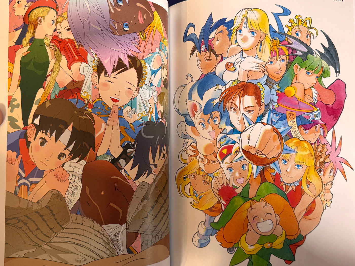 CAPCOM Street Fighters Art Works Supremacy (2009)