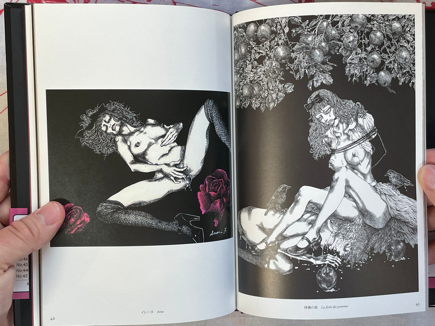L'aventure de Mademoiselle Pipi by Saori Furukawa (2011)