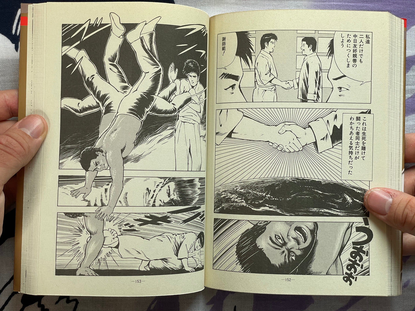 Killer Fist Technique for Koppou Marital Arts Illustrated by Kaze Shinobu (1988)
