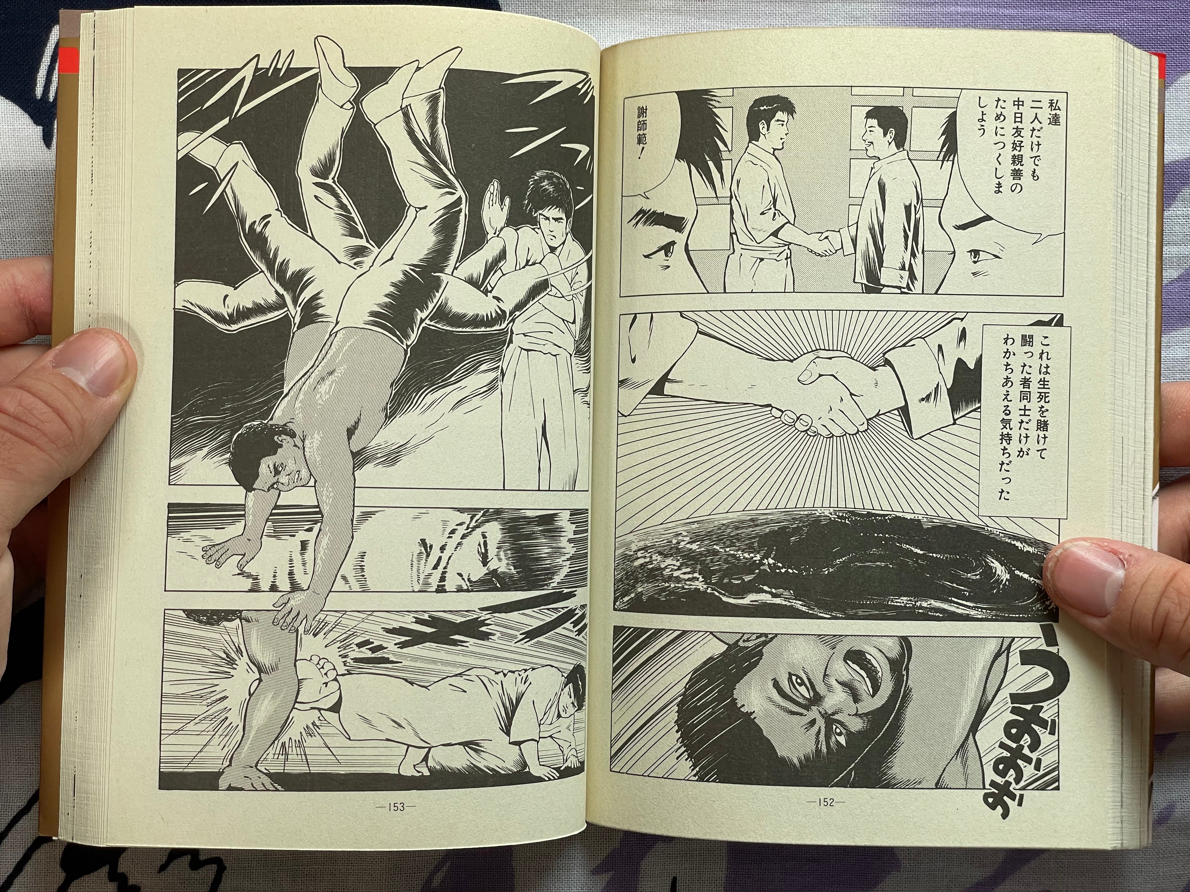 Killer Fist Technique for Koppou Marital Arts Illustrated by Kaze Shinobu (1988)