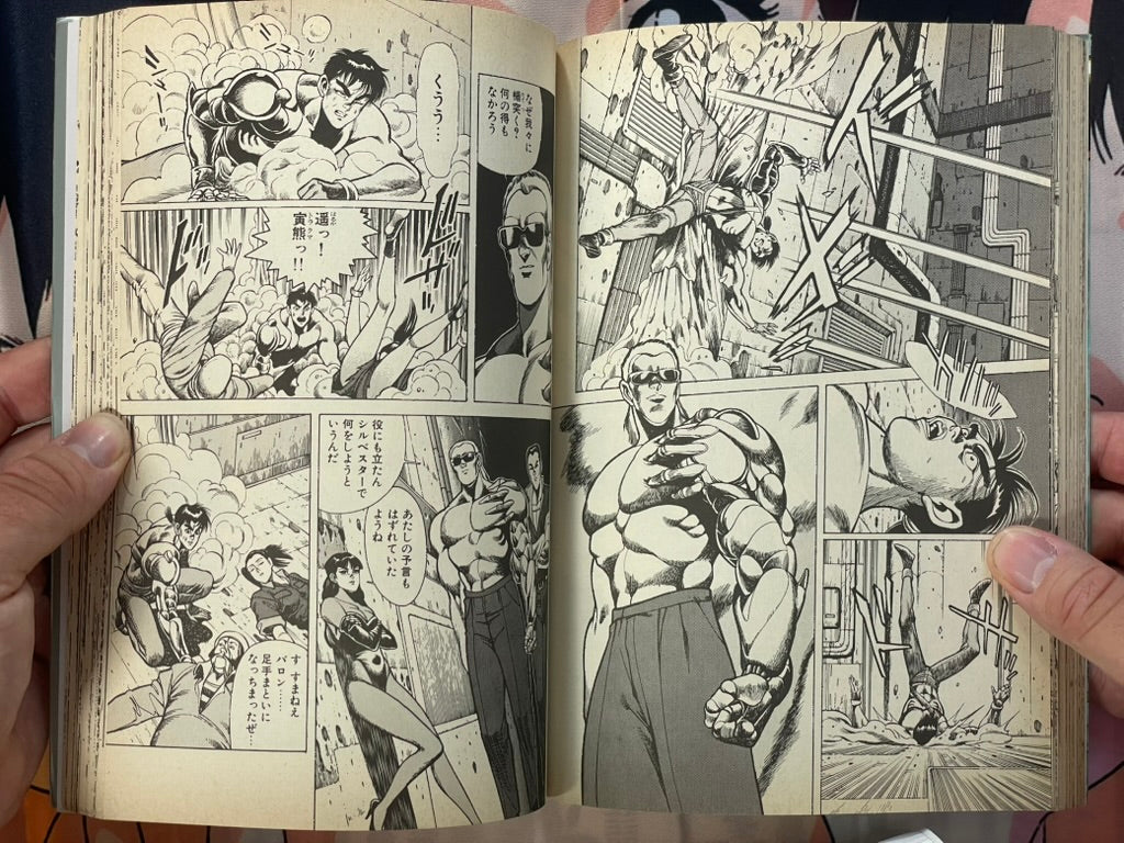 Silverstar by Itahashi Syufu (1991)-thumbmail-12
