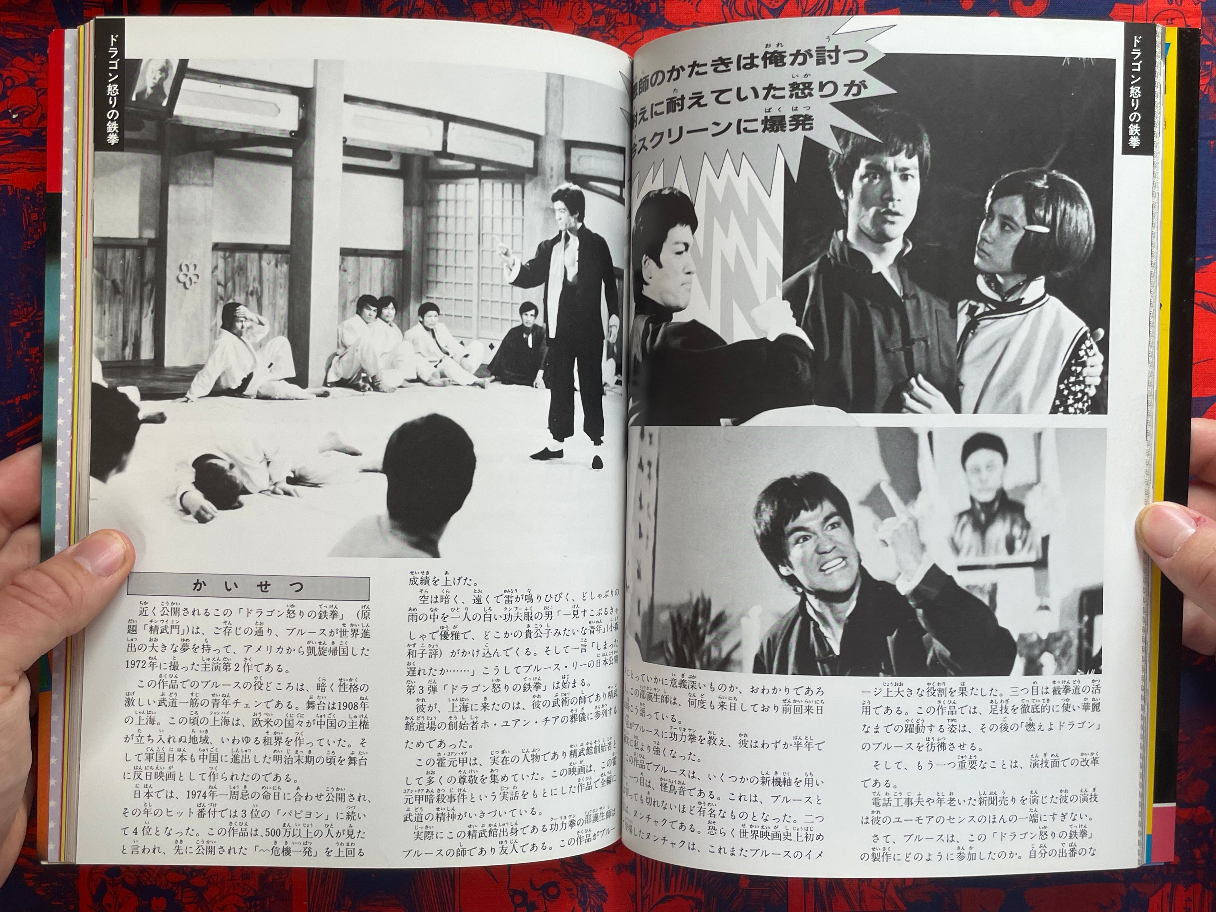 Bruce Lee Forever (1983)