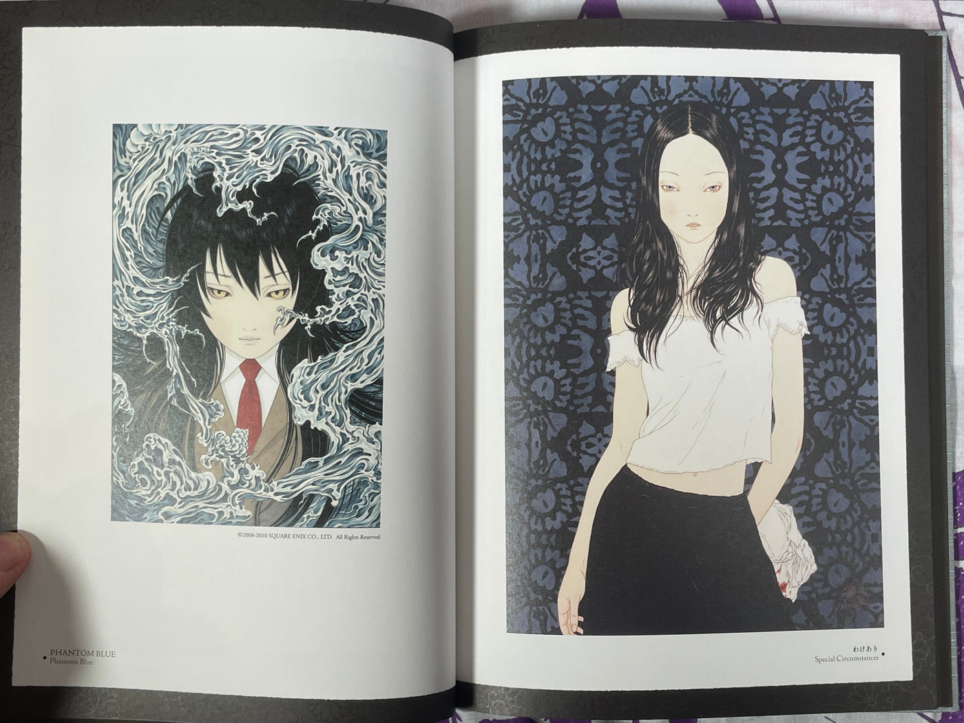 SIGNED Coffin of a Chimera Hardcover + Slipcover by Yamamoto Takato