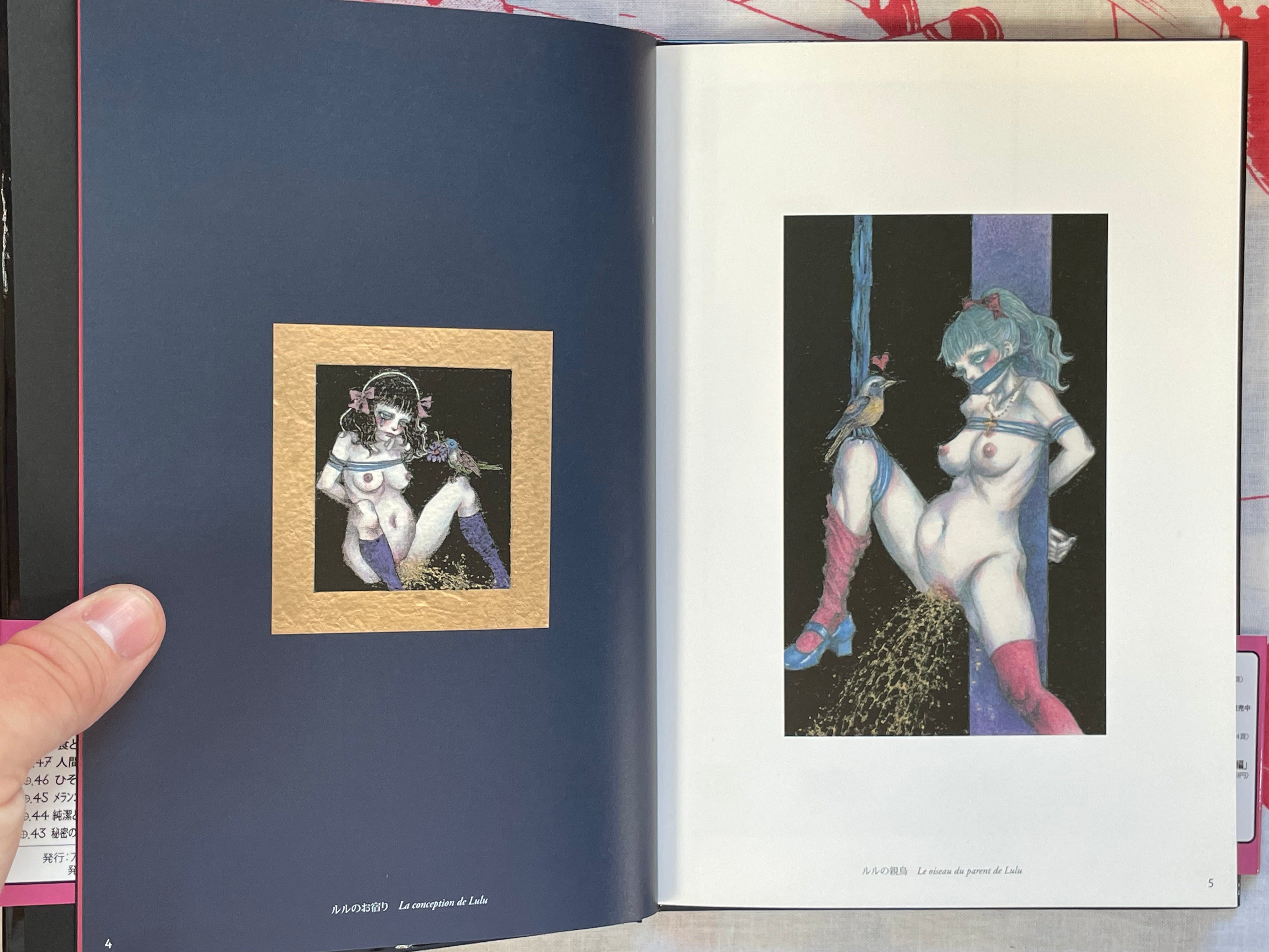 L'aventure de Mademoiselle Pipi by Saori Furukawa (2011)