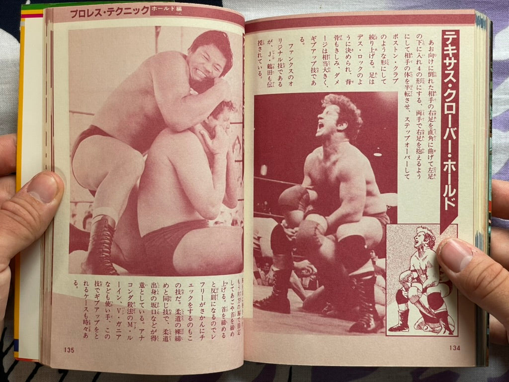 Pro Wrestling Finishing Move Technique by Big Wrestler (1984)