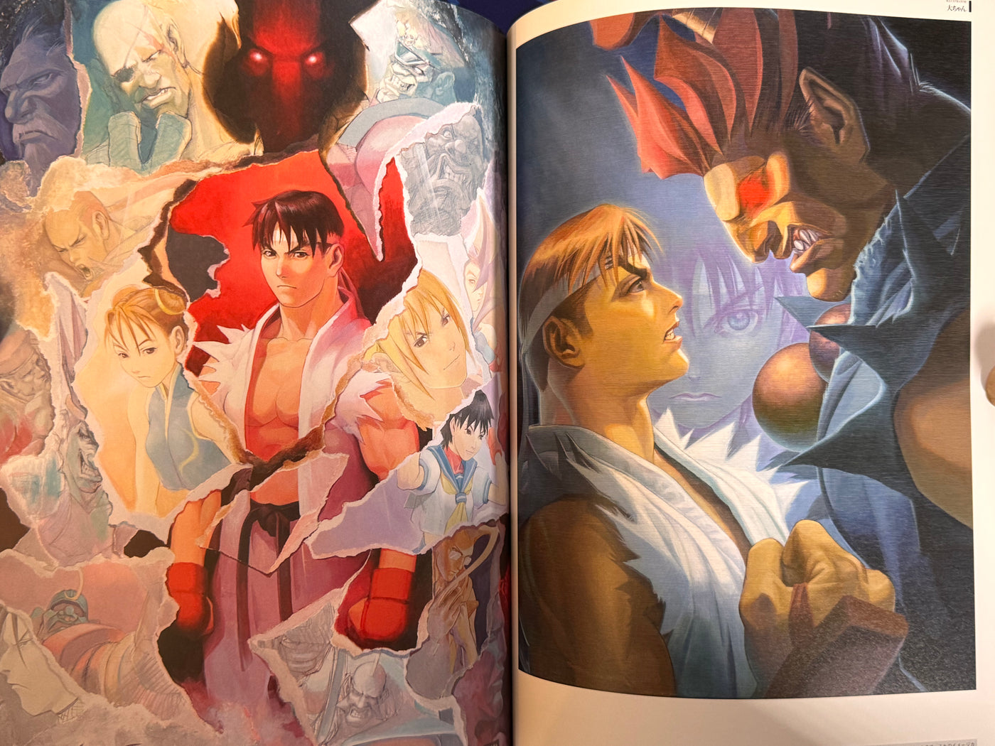 CAPCOM Street Fighters Art Works Supremacy (2009)