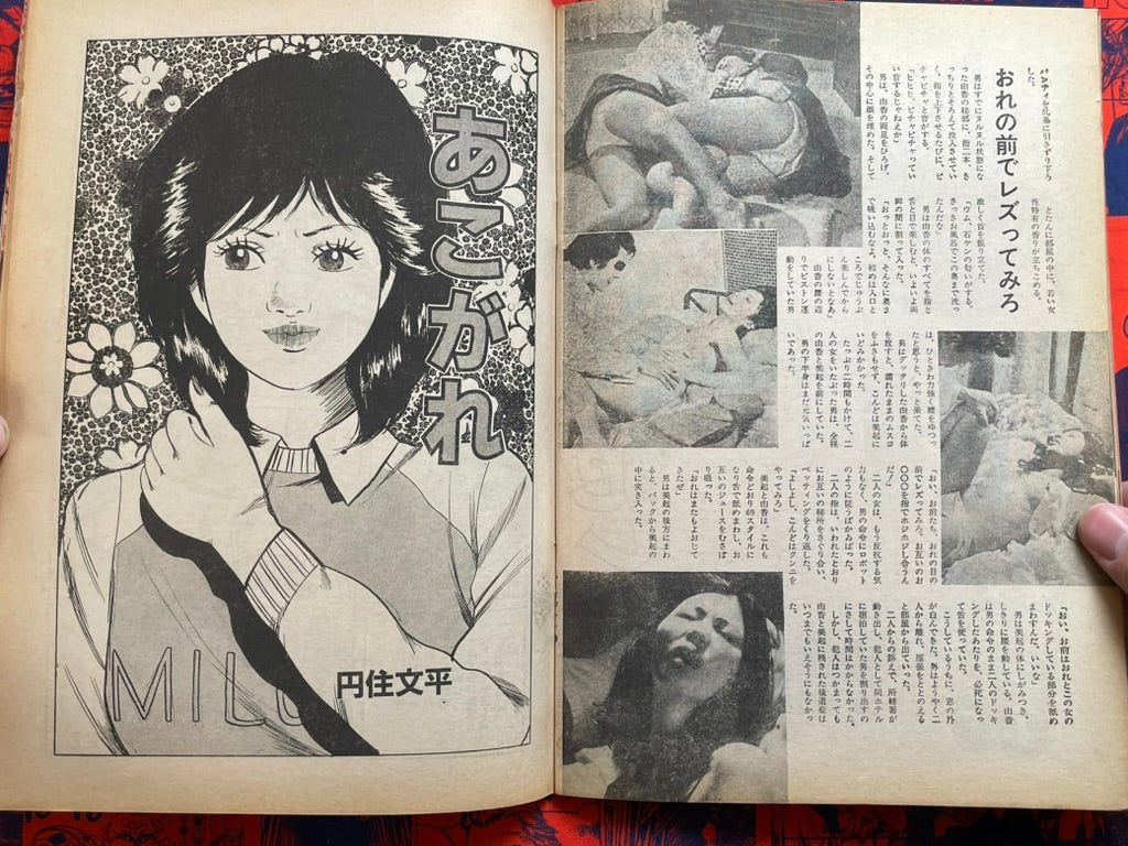 Girl Wetlands Magazine (1970s?)