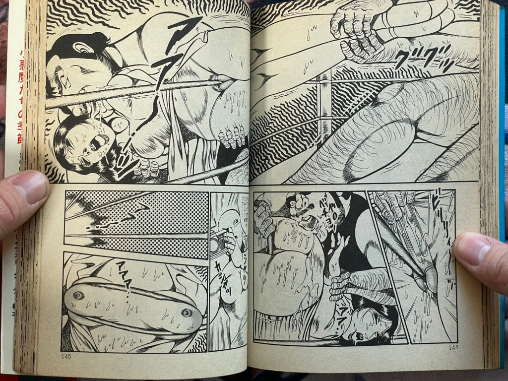 Beautiful Girl Playground by Dirty Matsumoto (1982)