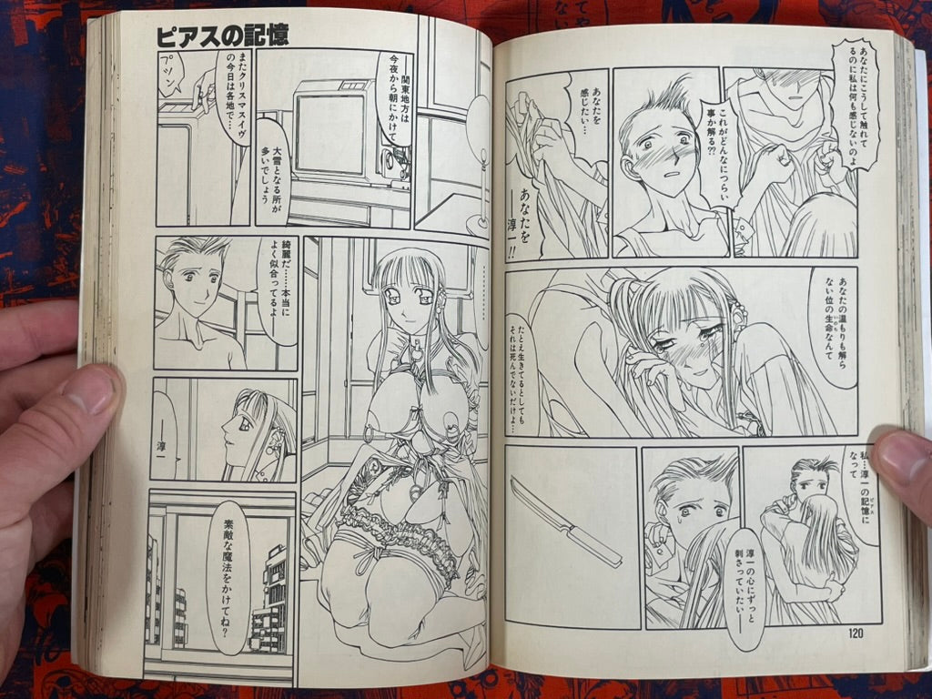 Flamingo Magazine (6/1995)