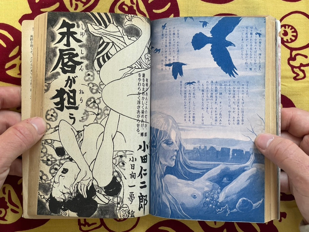 SM Fan Magazine First Issue by Dan Oniroku and More (1971/12)