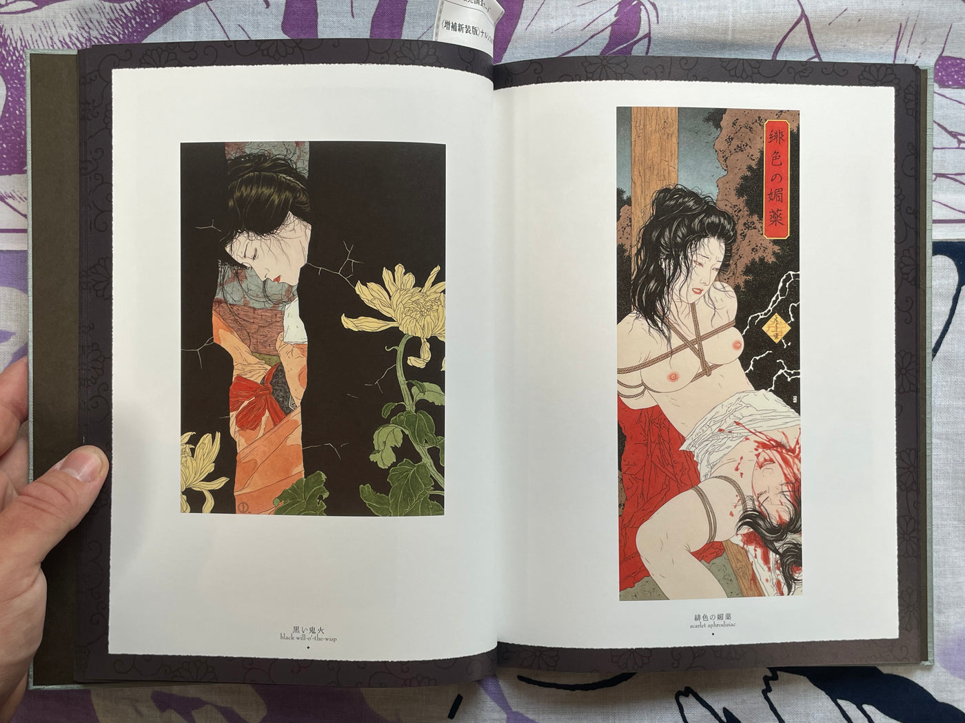 SIGNED Altar of Narcissus - Hardcover + Slipcover by Yamamoto Takato (2023)