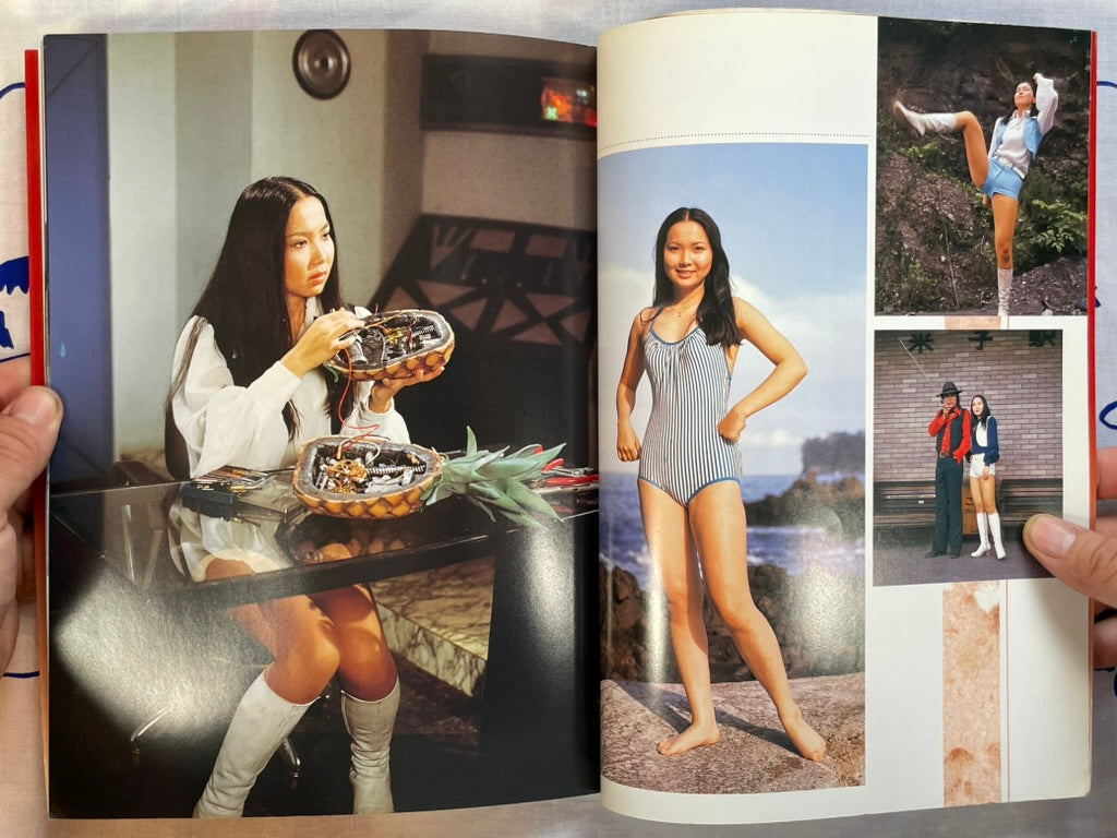 Toei Tokusatsu Heroine Photo Collection "RED" (2000)
