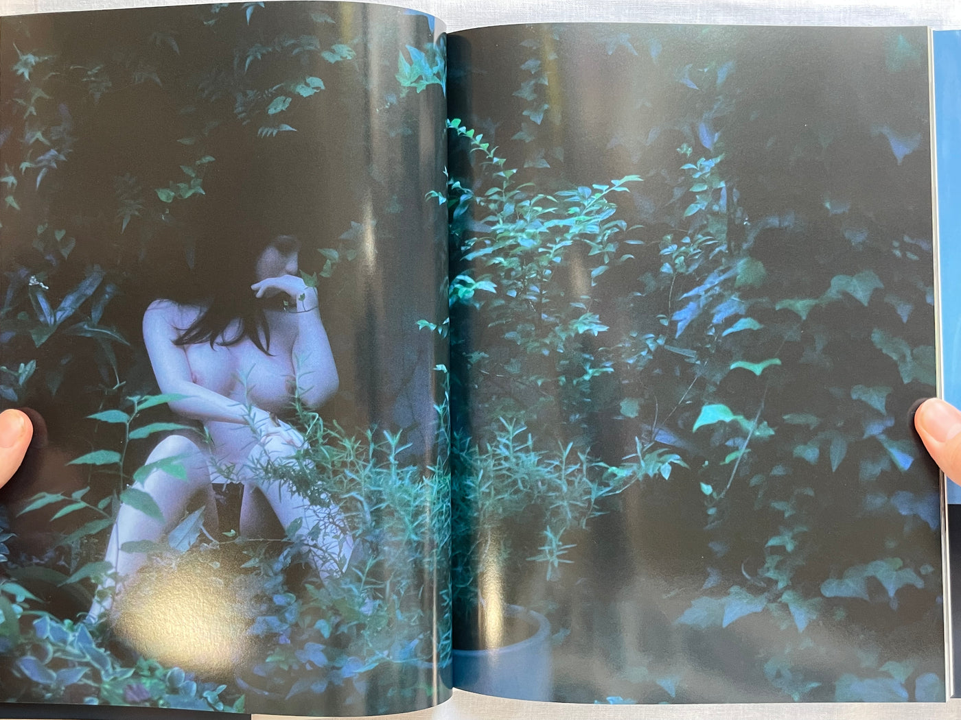 SIGNED Love Doll by Shinoyama Kishin (2017)