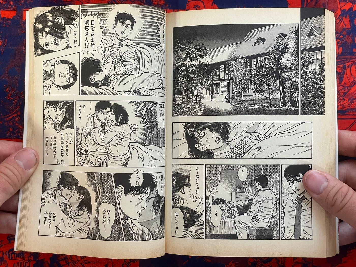 SIGNED Wind of Eden by Toshio Maeda (1990)