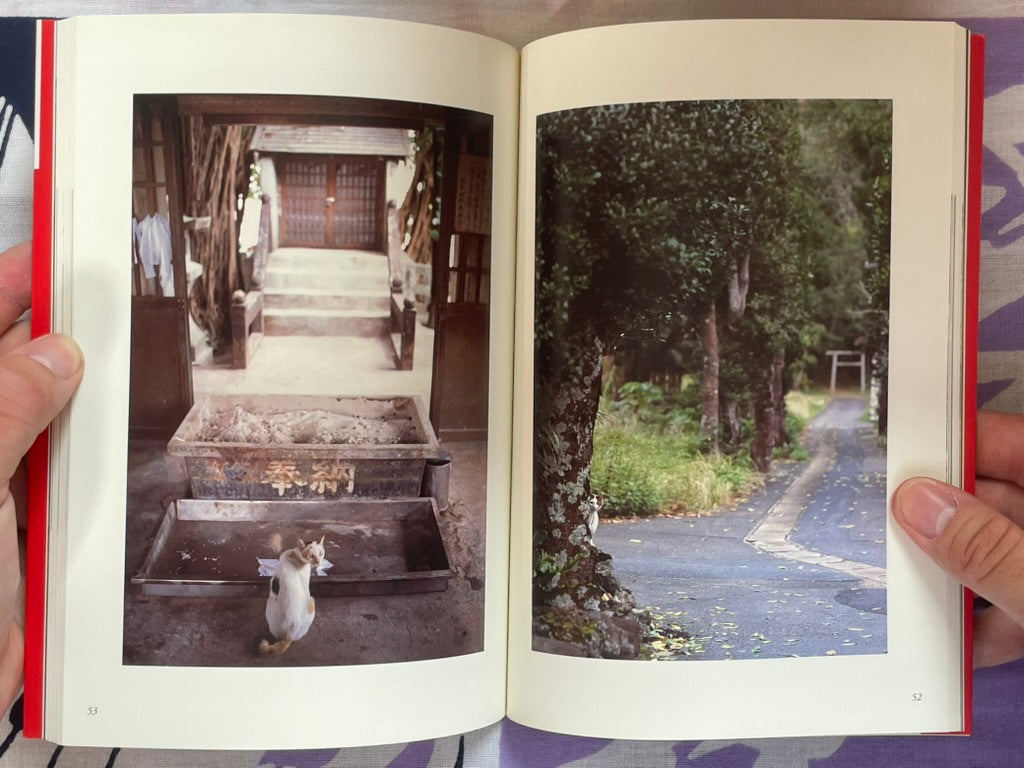 Okinawa Cats: Sentimental Journey (2006)