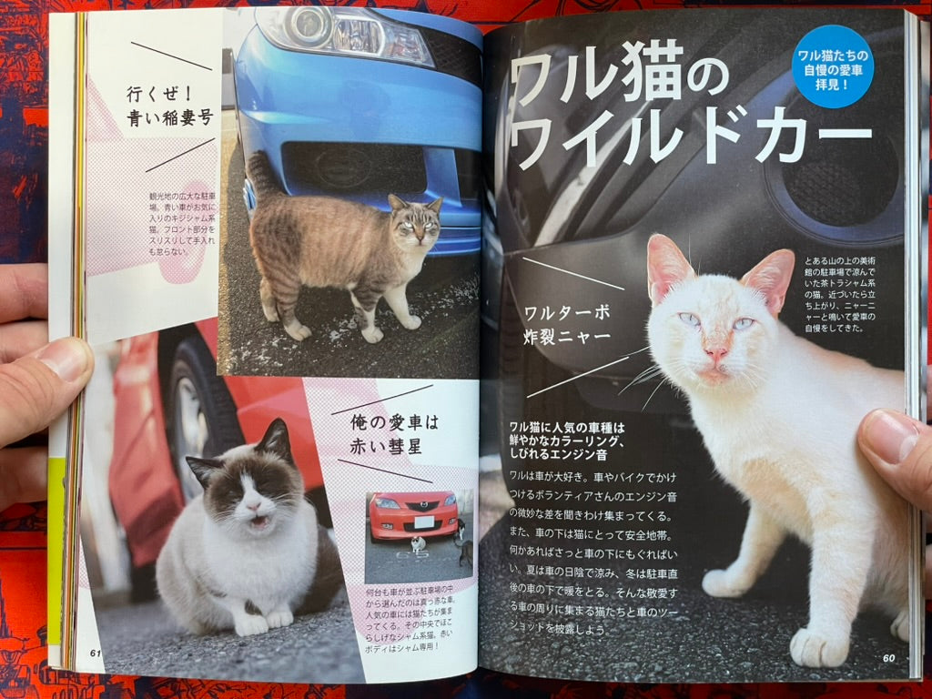 I'm A Bad Cat by Minamihaba Shunsuke (2016)