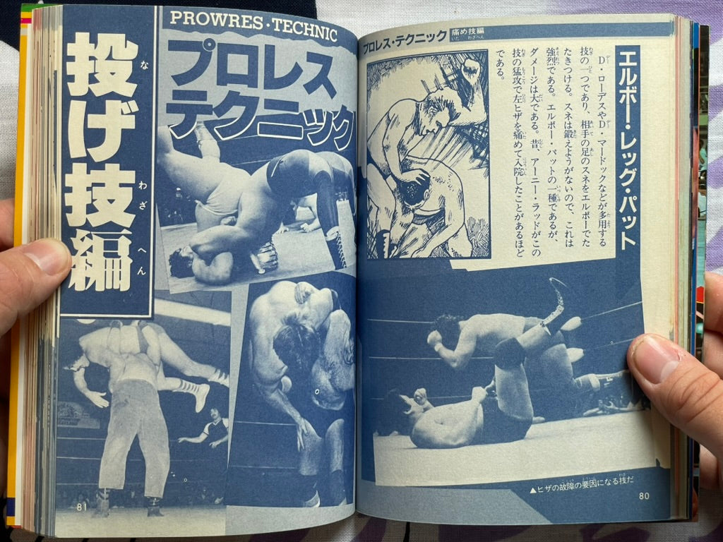 Pro Wrestling Finishing Move Technique by Big Wrestler (1984)