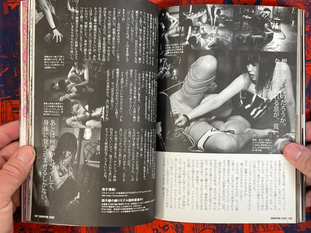 Sniper Eve Magazine Vol. 39 (2/2011)