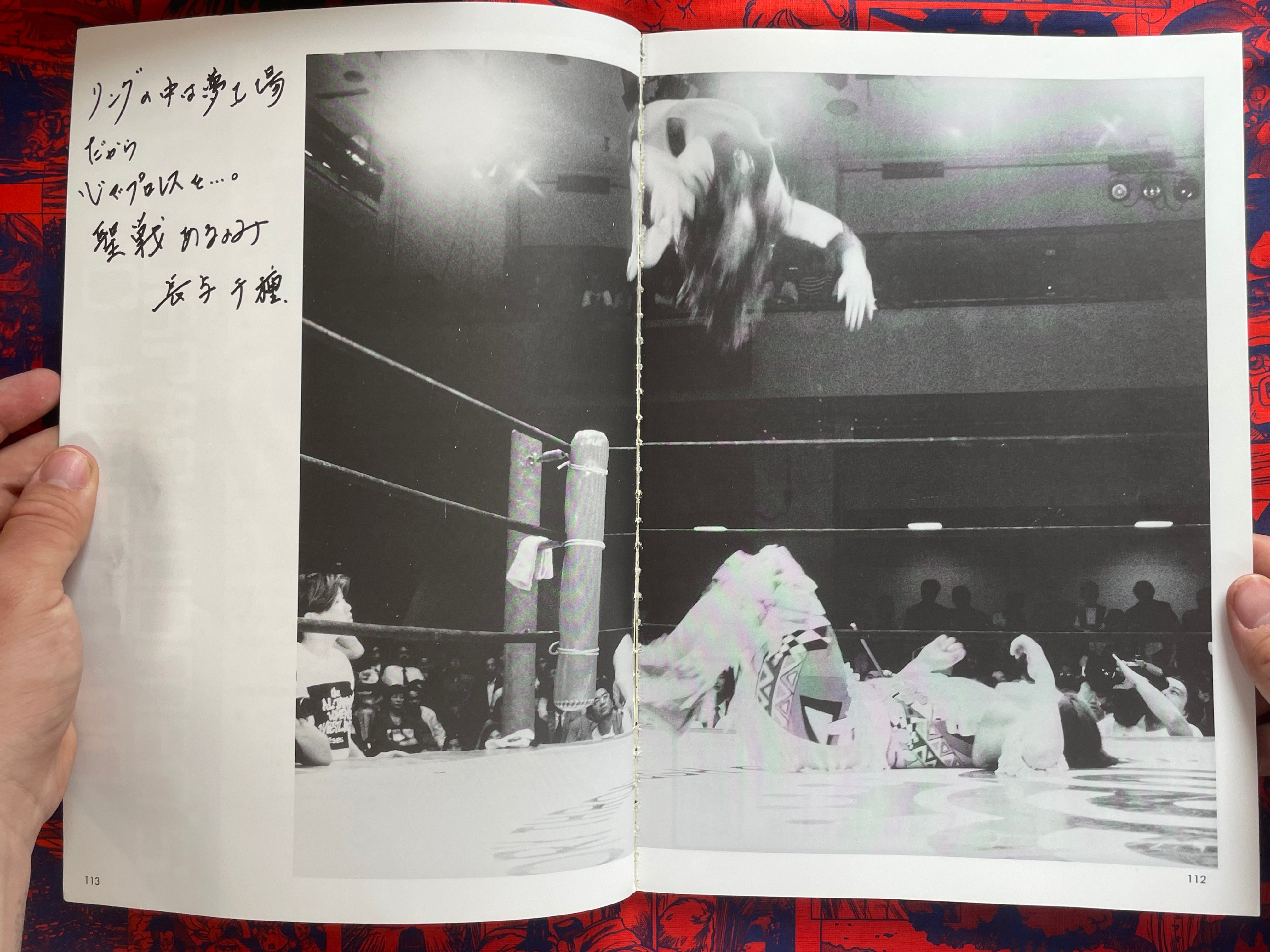 All Japan Women's Pro Wrestling 25th Anniversary Book (1993)