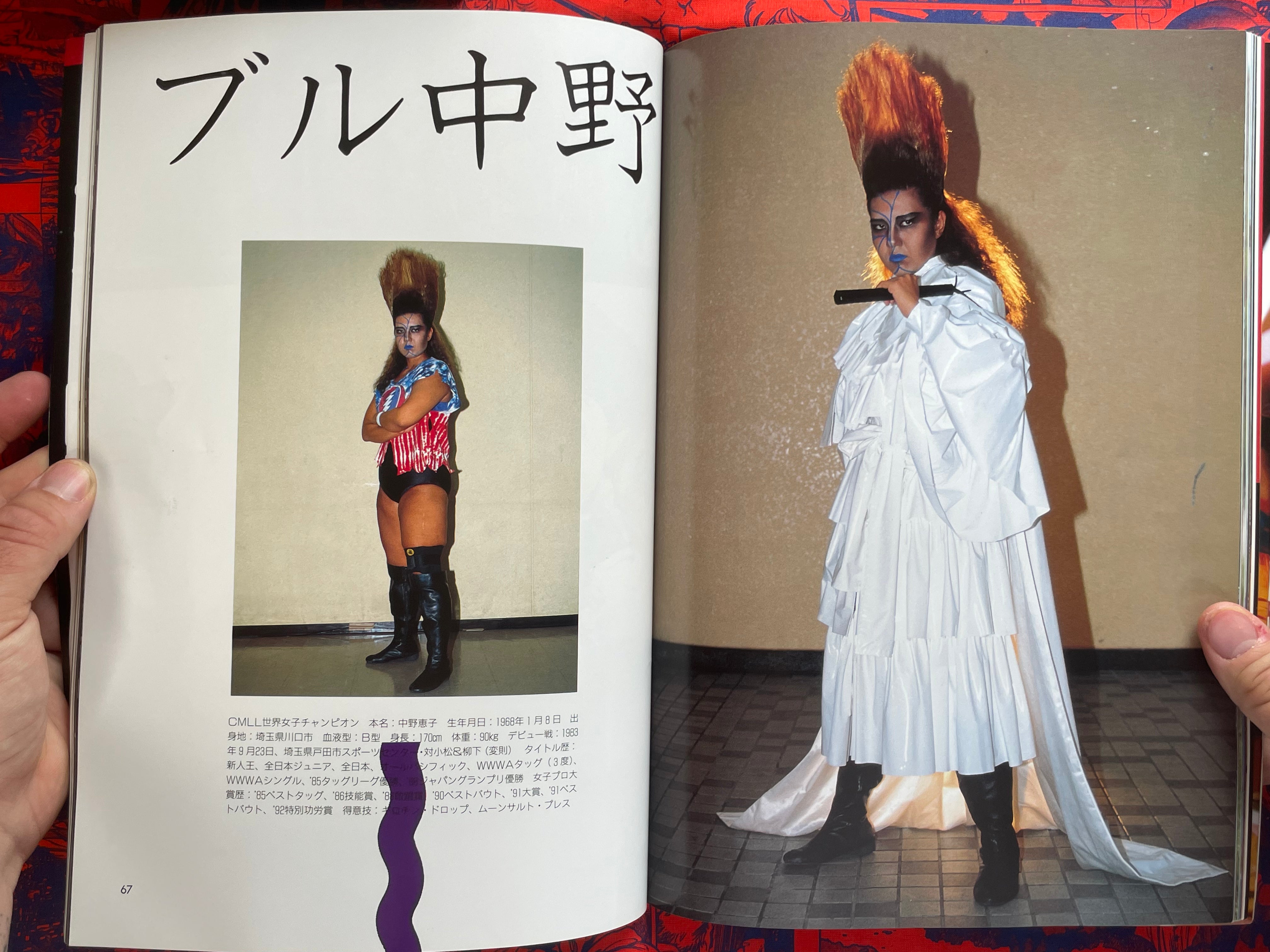 All Japan Women's Pro Wrestling 25th Anniversary Book (1993)