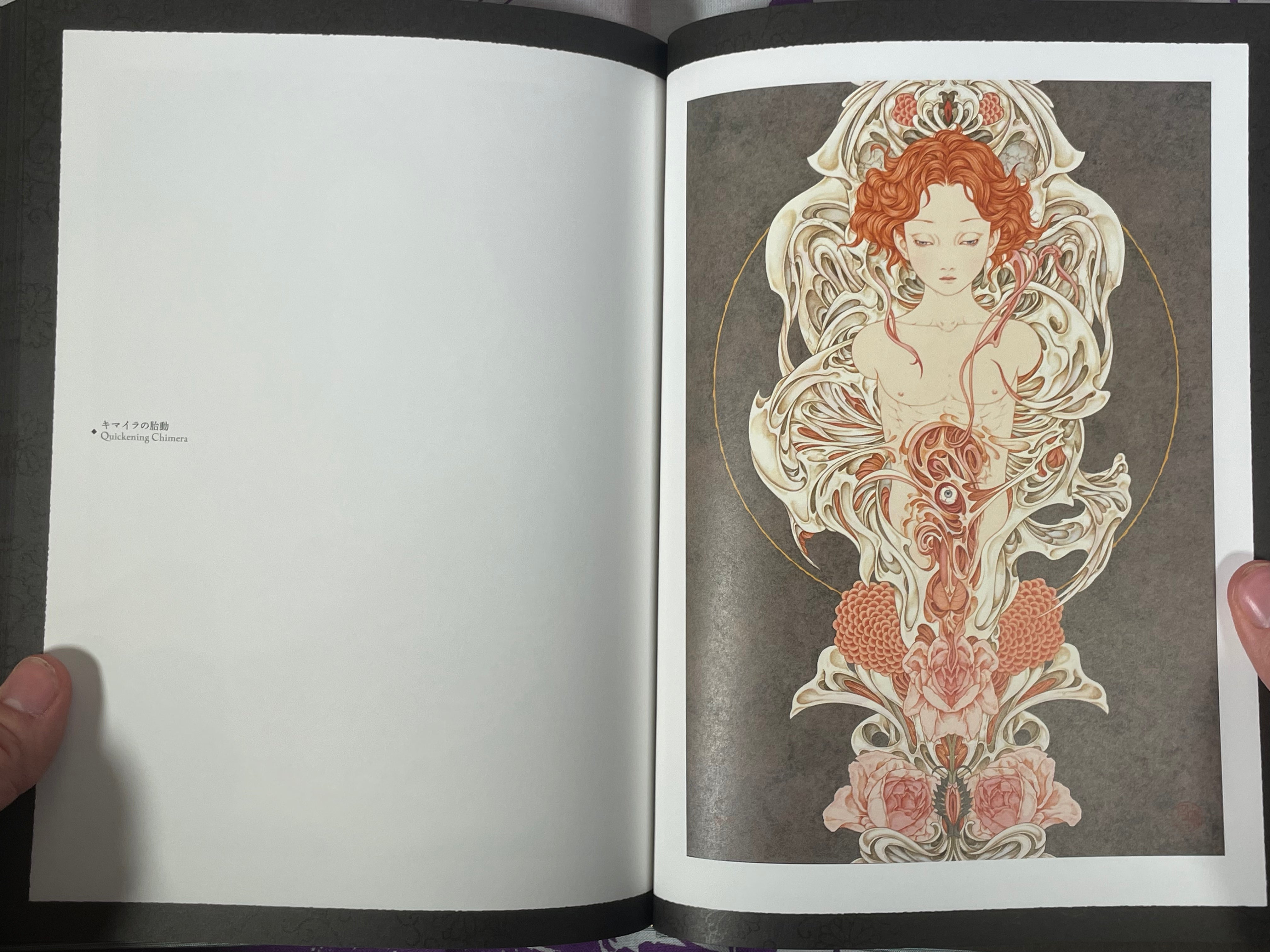 キマイラの柩 Coffin of a Chimera 山本 タカト サイン Japan Art Book