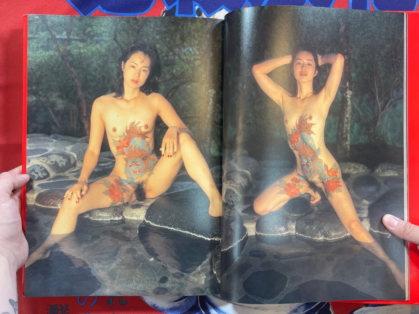 Nyohadae by Ken Sato (2003)