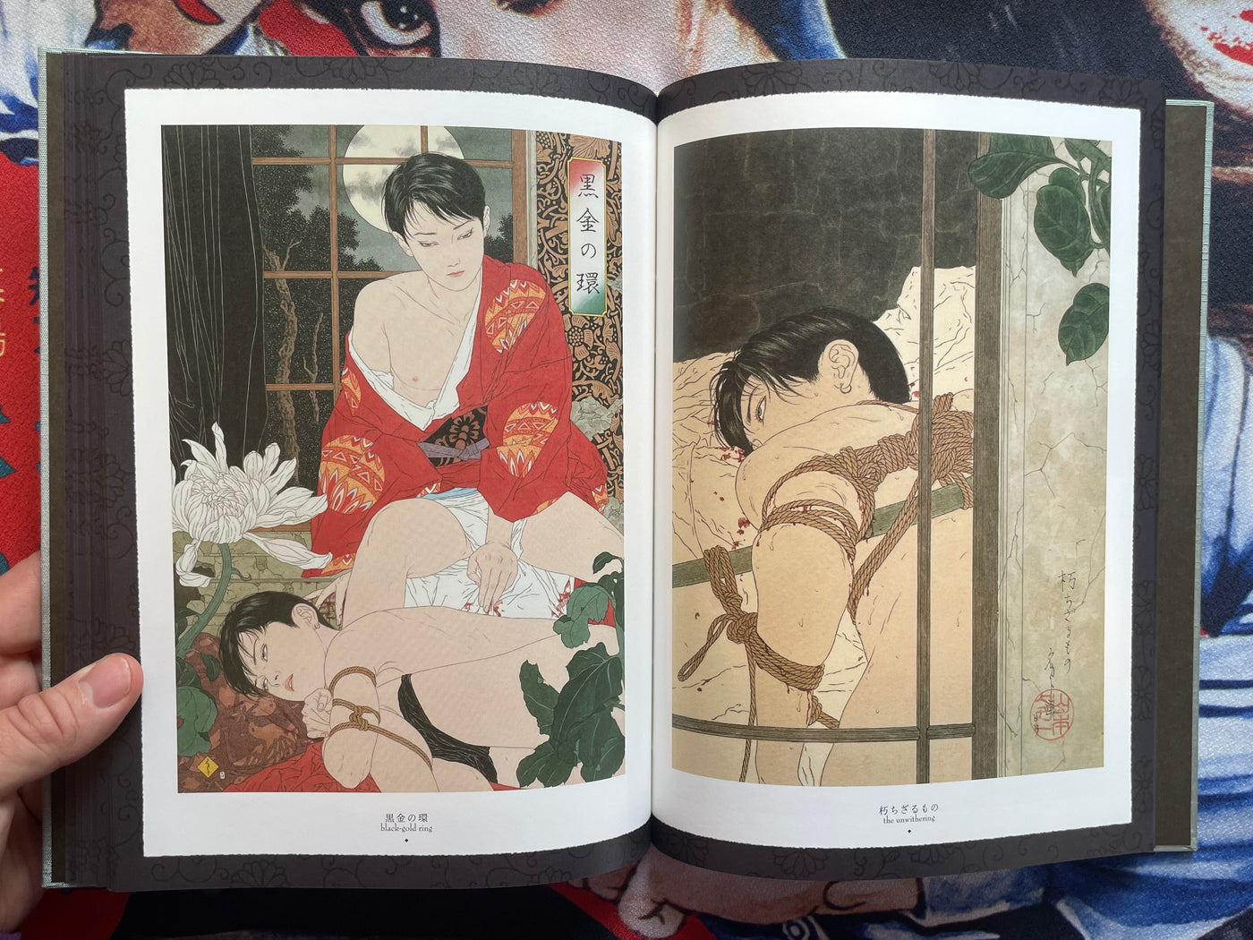 SIGNED Altar of Narcissus - Hardcover + Slipcover by Yamamoto Takato (2023)
