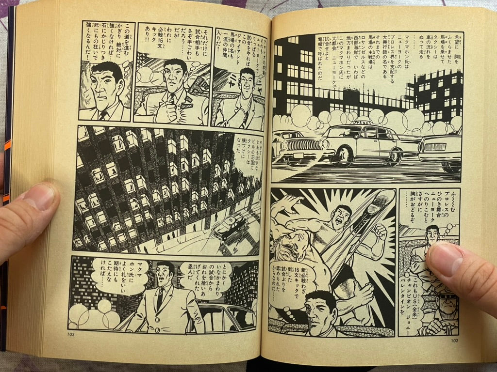 Giant Typhoon Vol. 1-4 by Tsuji Naoki (1990)