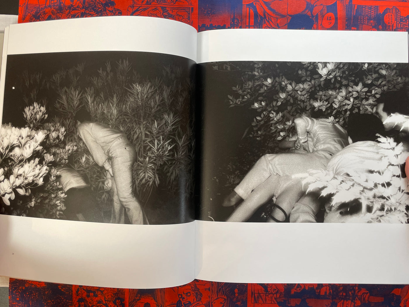 Kohei Yoshiyuki's The Park (2019 Italian Edition/OOP)