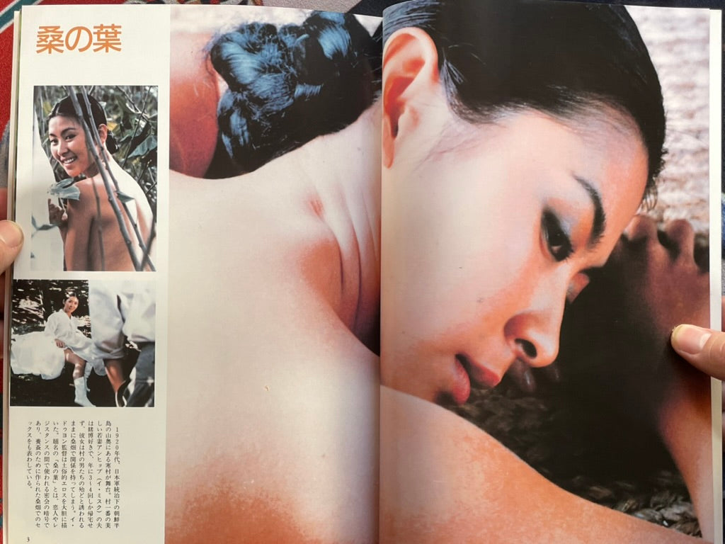 Korean Eros: Korean Porno Sensual Beauties by Kindaieigasha (1994)