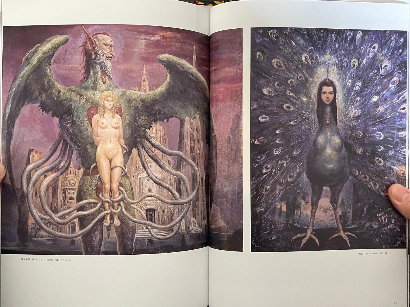 Ran Akiyoshi Illusory Works: Faraway Primordial Illusions - Hardcover (2025)