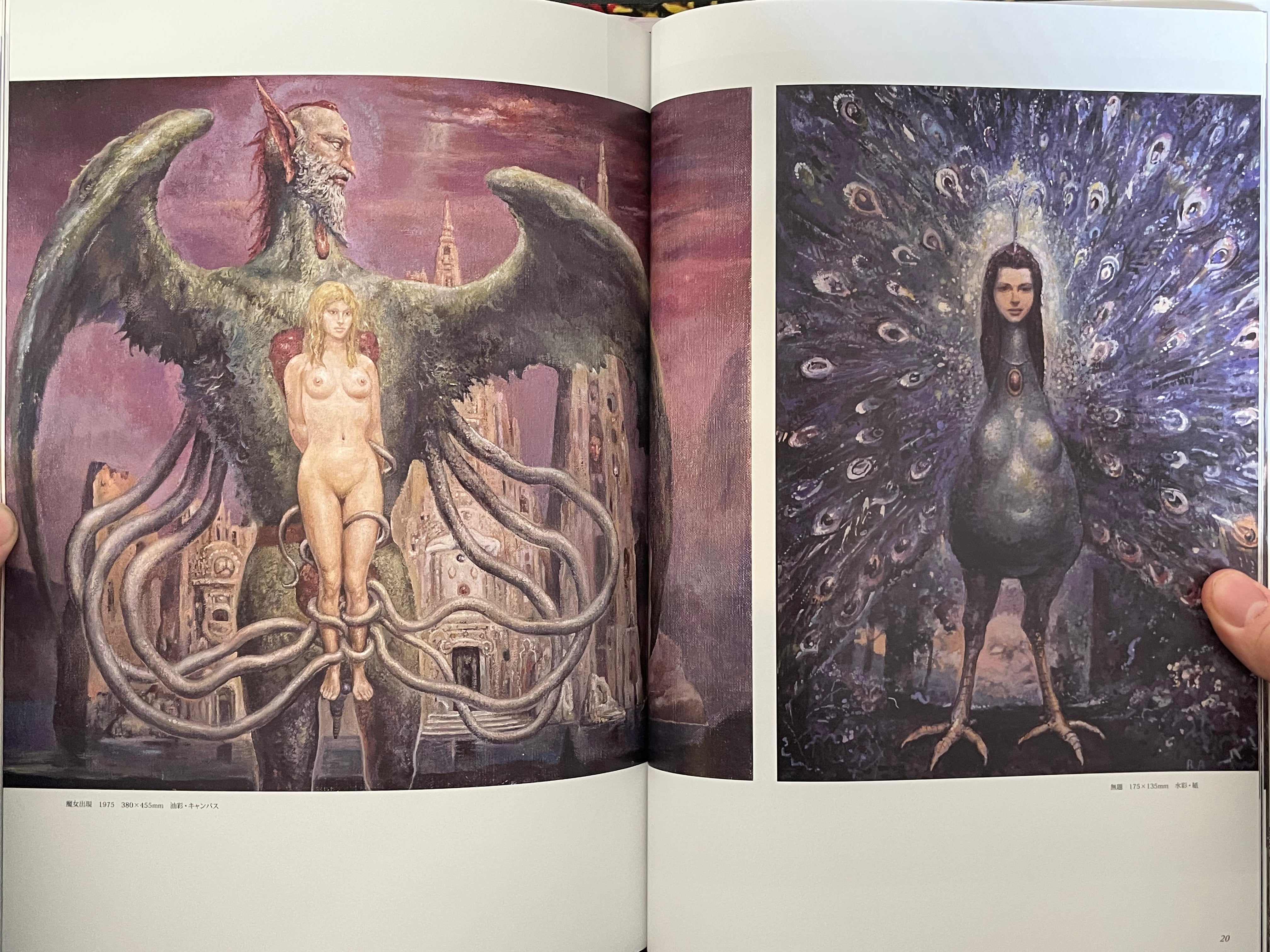 Ran Akiyoshi Illusory Works: Faraway Primordial Illusions - Hardcover (2025)