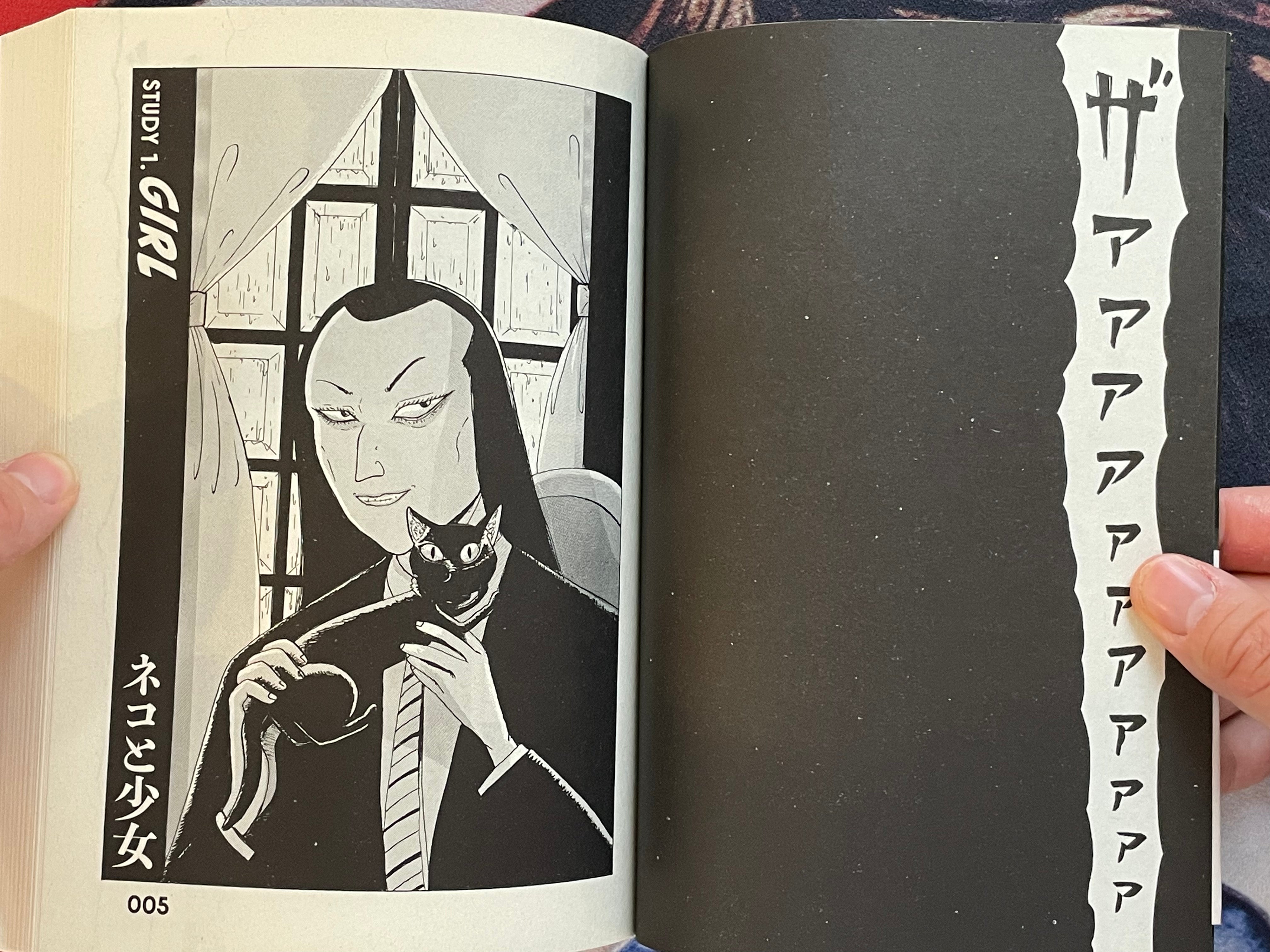 Dr. Inferno Meets The Cat by Ochazukenori (2019)