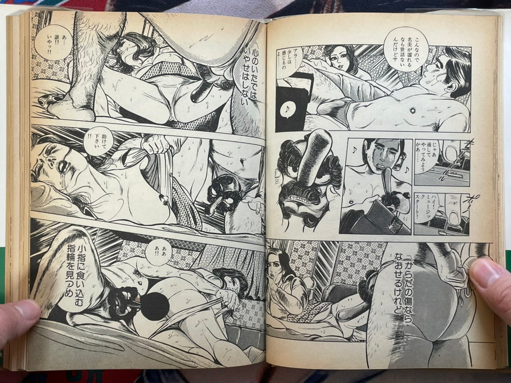 Nami by Takashi Ishii (1977 / Hardcover / First Edition)