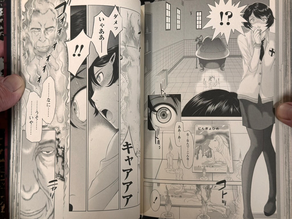 Tropical Fish Guts by Shinichi Hiromoto (2013)-thumbmail-17