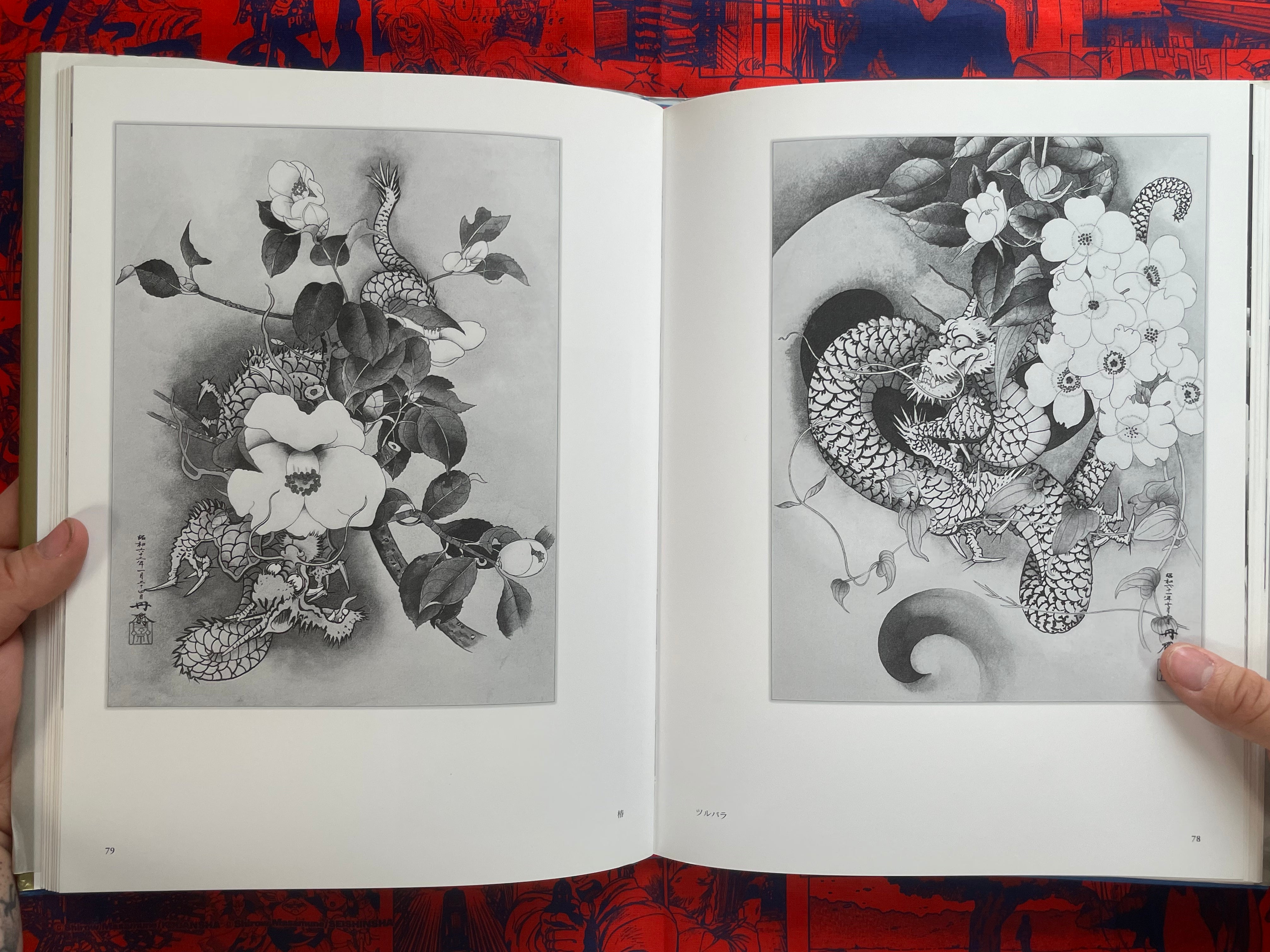 Tansai: Art of 100 Dragons - hardcover by Terano Tansai (2011)