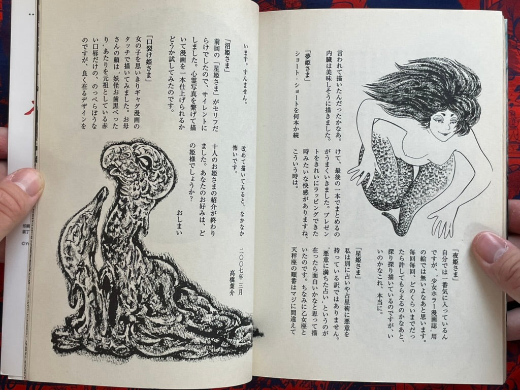Night Princess by Takahashi Yousuke (2007)