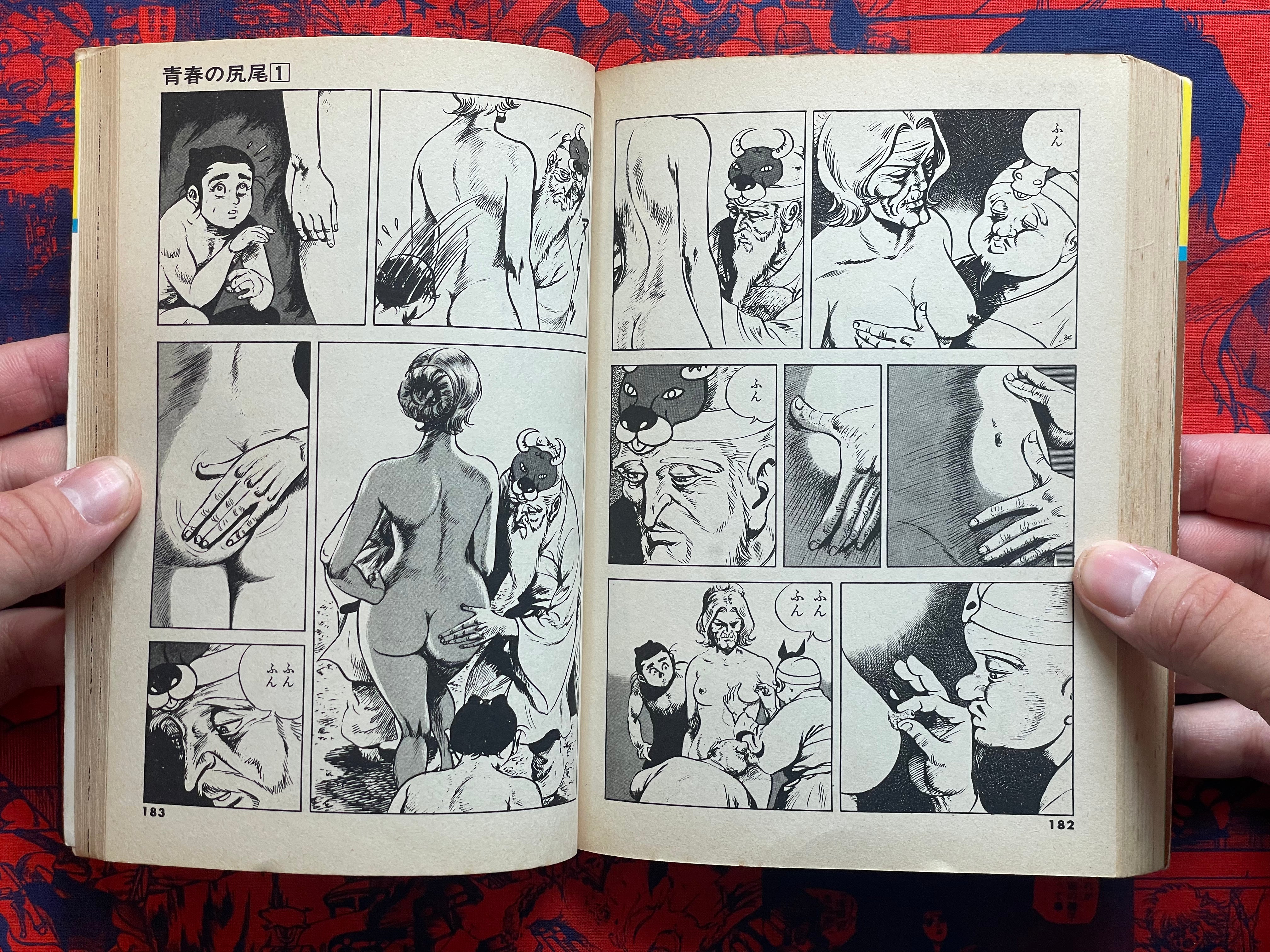 Tail of Youth 1-6 Full Set by Kazuo Koike (1978)-thumbmail-20