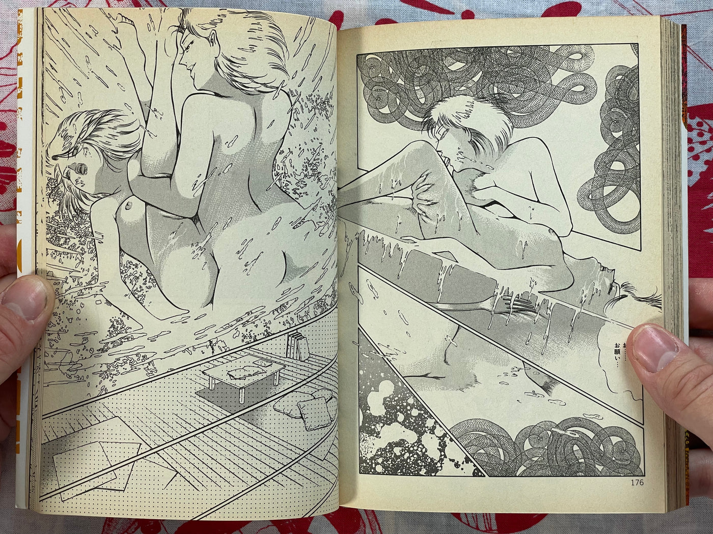 Red Moon Incarnation by Dirty Matsumoto (1993)