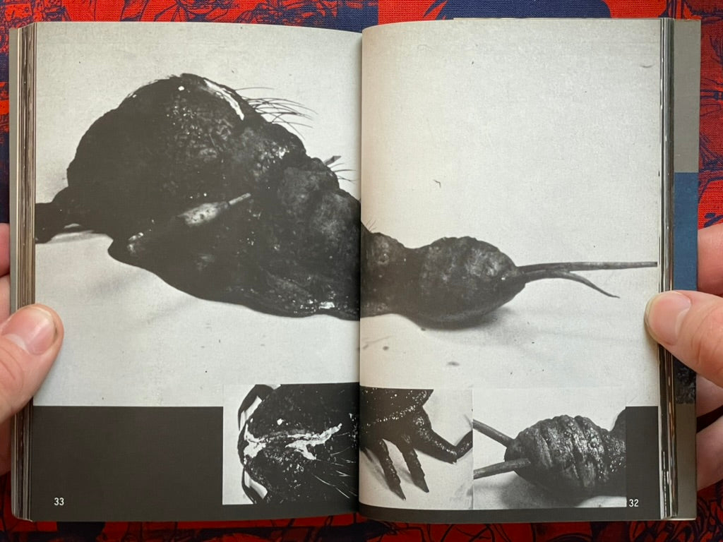 Godzilla Photo Book - Uchusen Bunko Edition (1984)