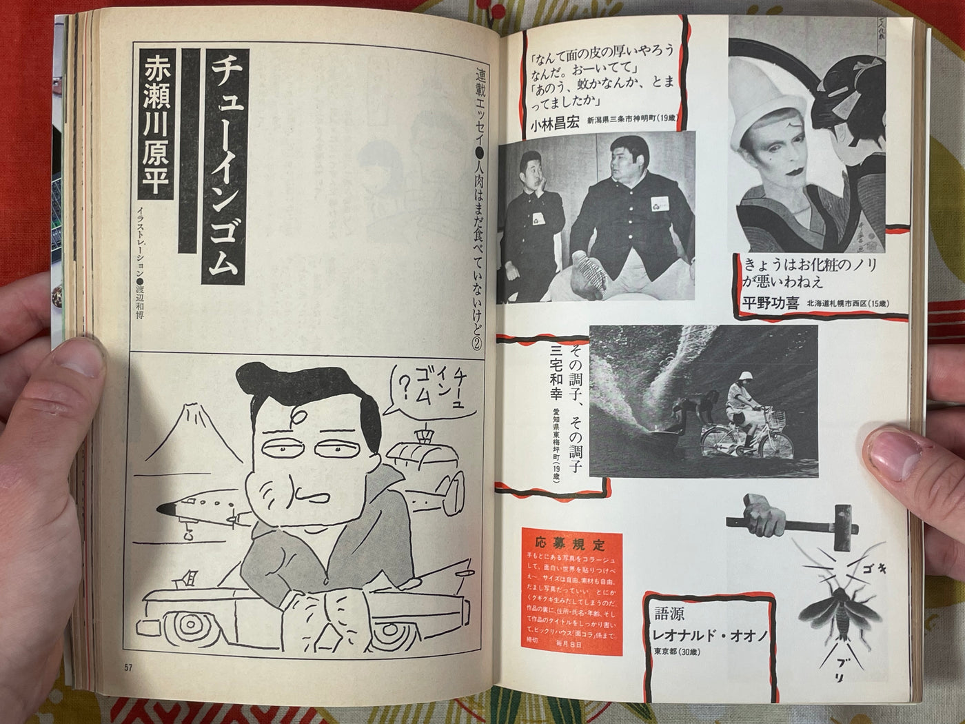 Bikkuri House Magazine 11 (1981/11)