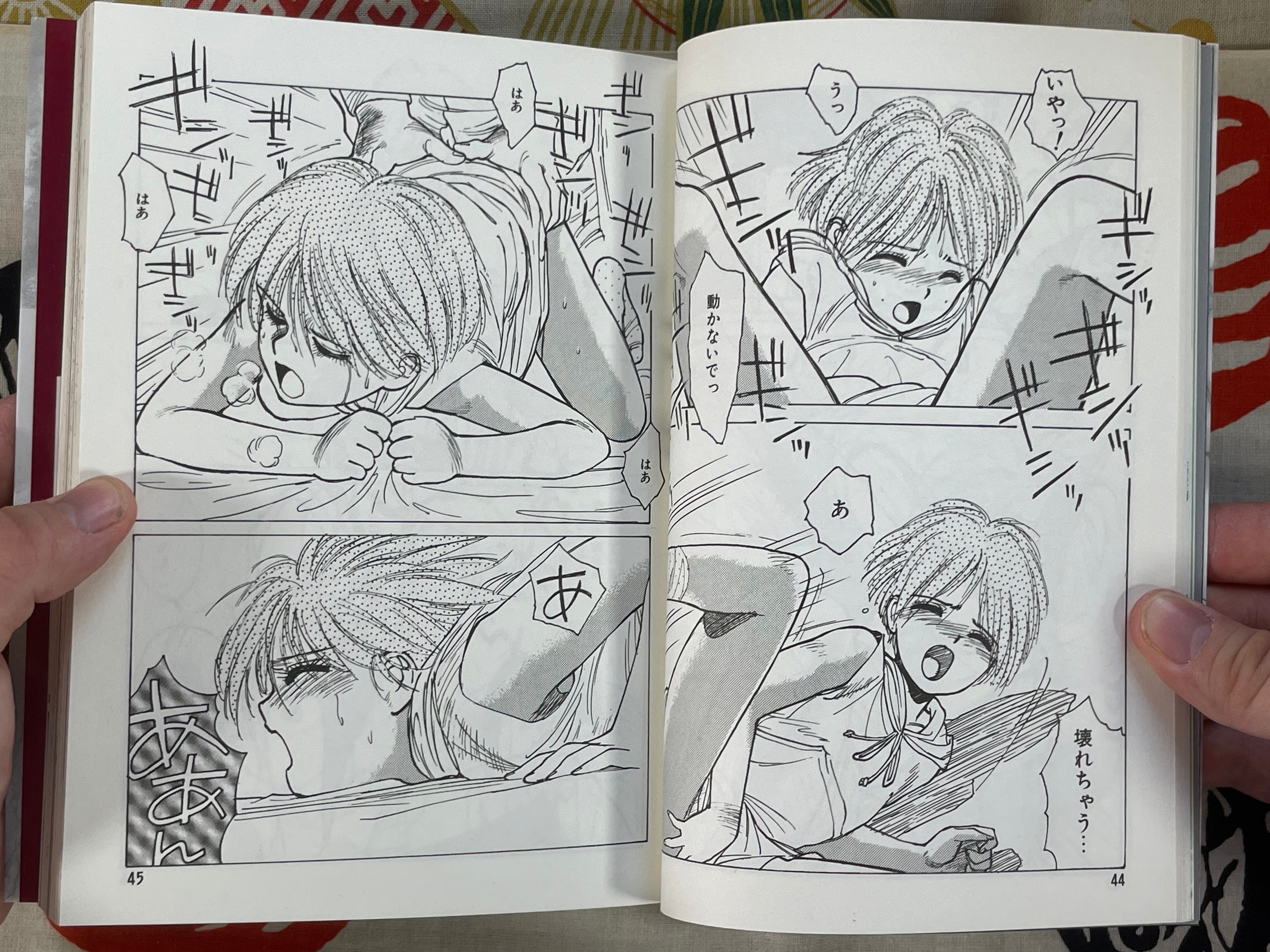 Encyclopedia of Tetsuyaro Shinkaida (1994)