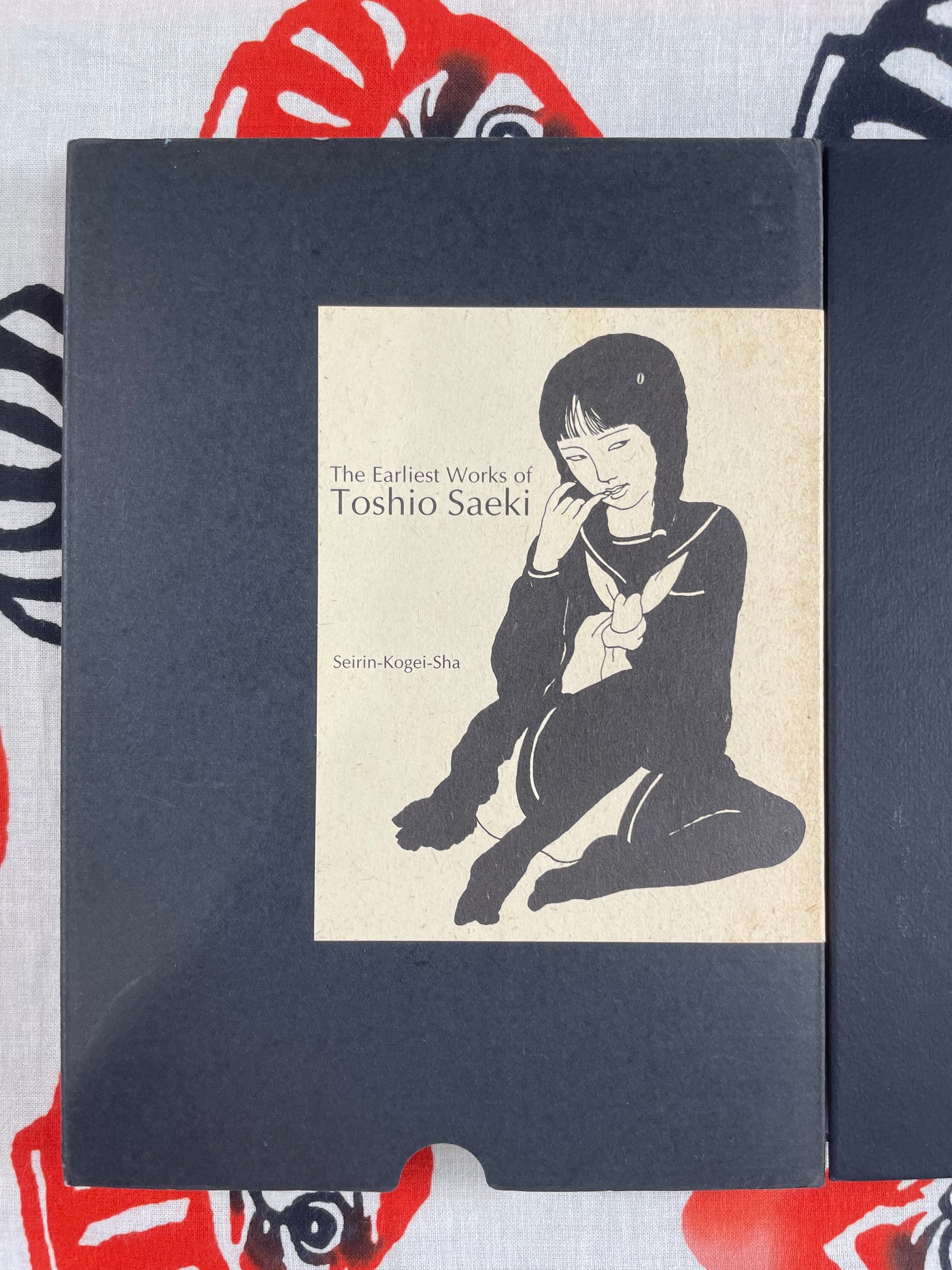 The Earliest Works of Toshio Saeki (Seirin-Kogei-Sha/ 2002/Stamped)