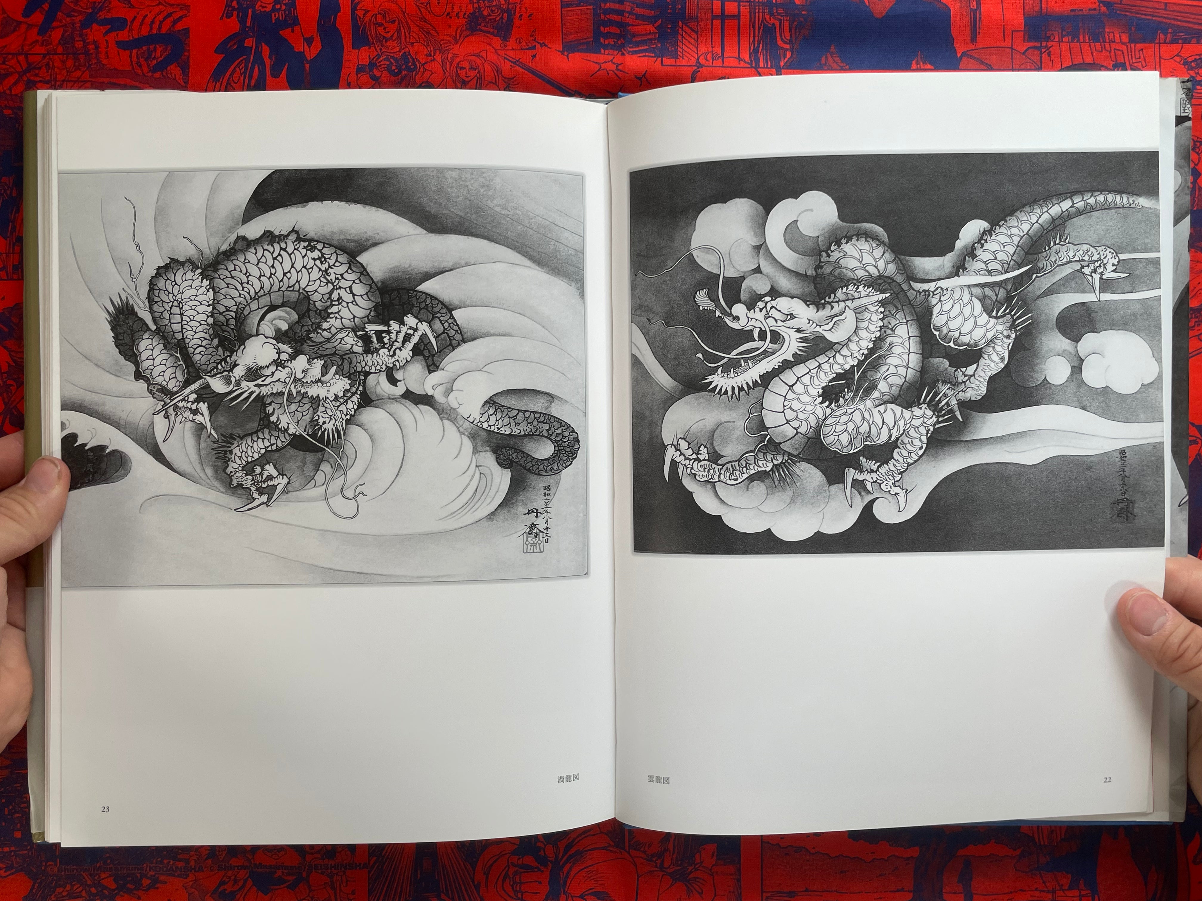 Tansai: Art of 100 Dragons - hardcover by Terano Tansai (2011)